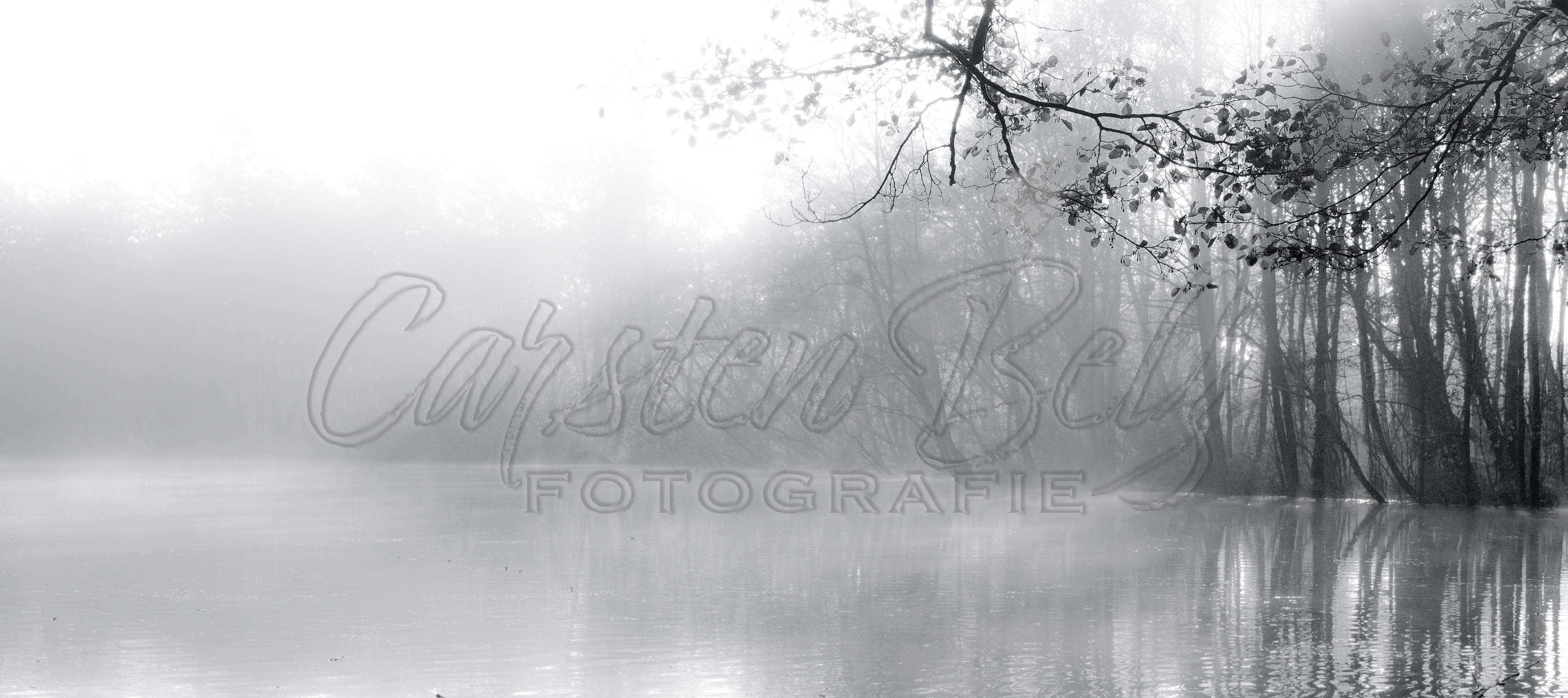 Herbstnebel über See 2