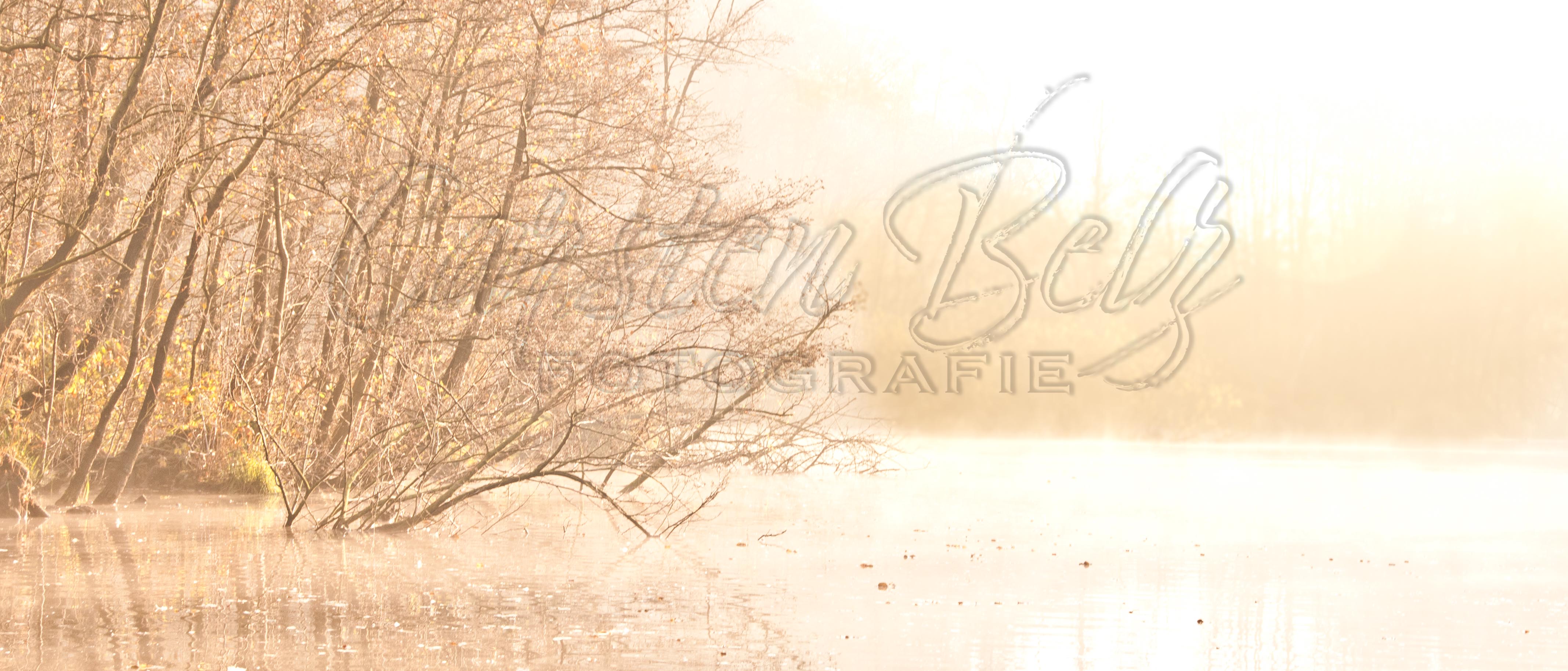 Herbstnebel über See
