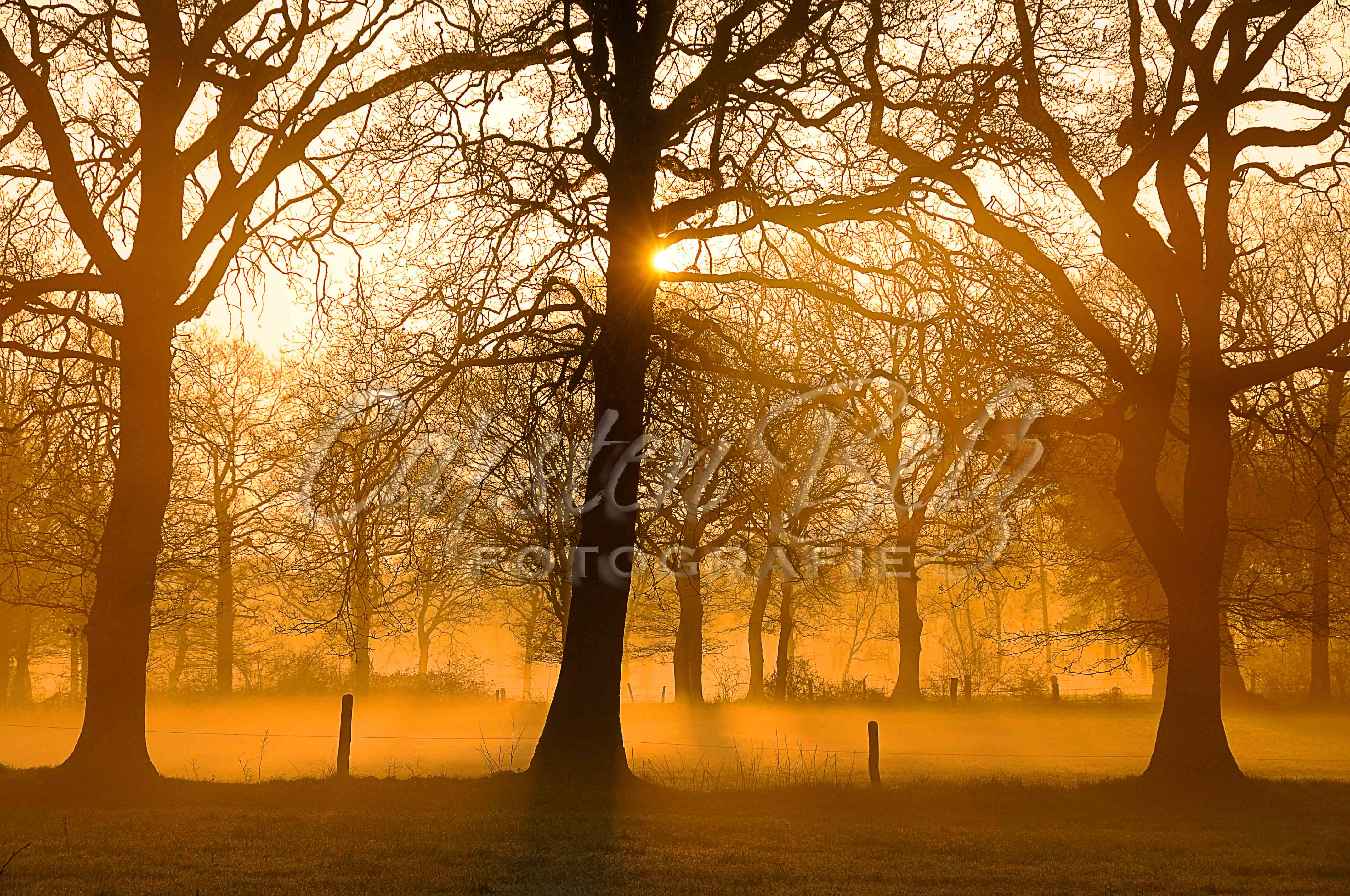 Sonnenaufgang orange