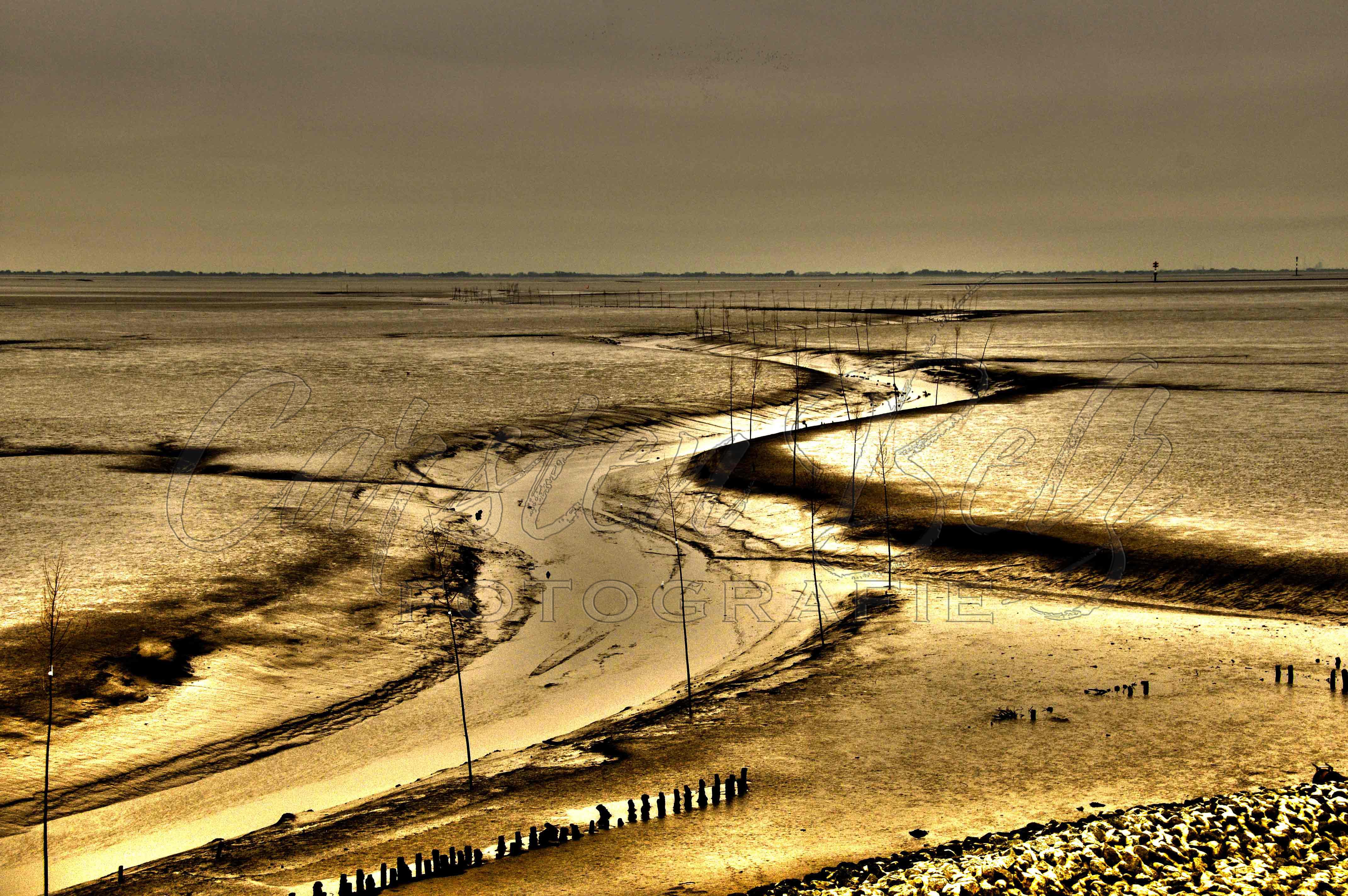 goldene-Nordsee
